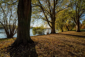 Вокруг озера...