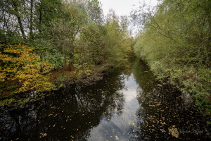 Течёт речушка...