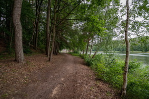 Серединка лета...