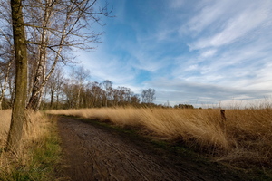 Дороги, которые мы выбираем...