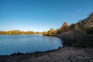 Теневая сторона...