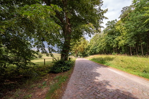 По брусчатке
