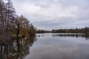 Январское...
