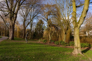 В ожидании весны...