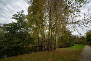 На  прудах в ноябре...