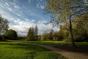 В солнечном ноябре...