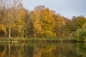 Краски осени...