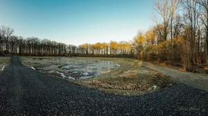 Новообразование...