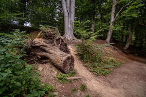 Следы былого...