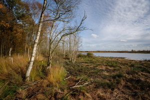 Путь к воде...