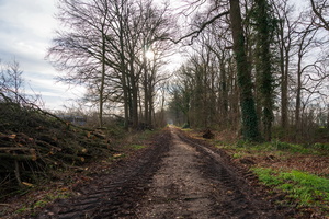 Время обрезки...