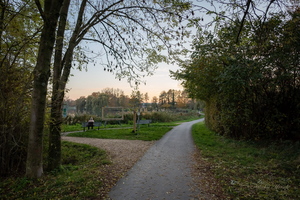 На вечерней прогулке...