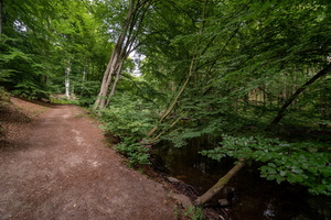 Вдоль реки...