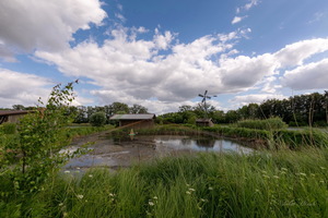 Почти лето...