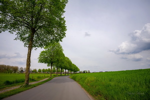 Майское настроение...