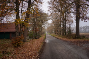 Дорога в осень...