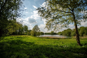 Майским днём...