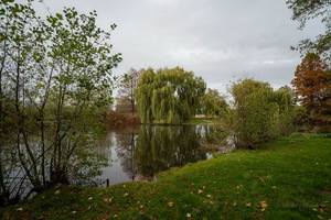 И это ноябрь...