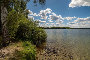 В середине лета...
