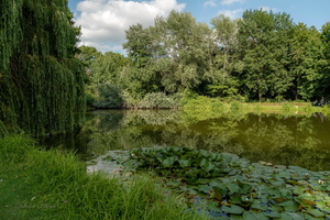 В середине лета...