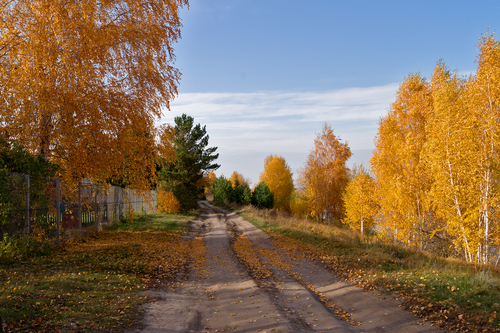Золотая пора