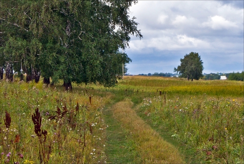 Летние прогулки
