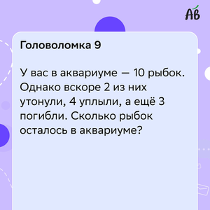ВЕСЕЛЫЕ ГОЛОВОЛОМКИ  ( часть 2 )