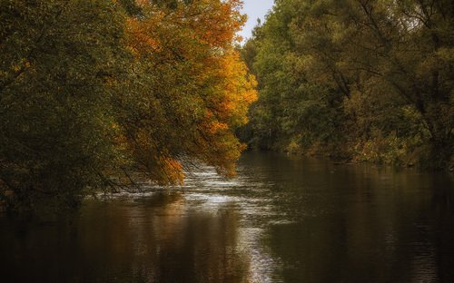 Заглянула осень в воду