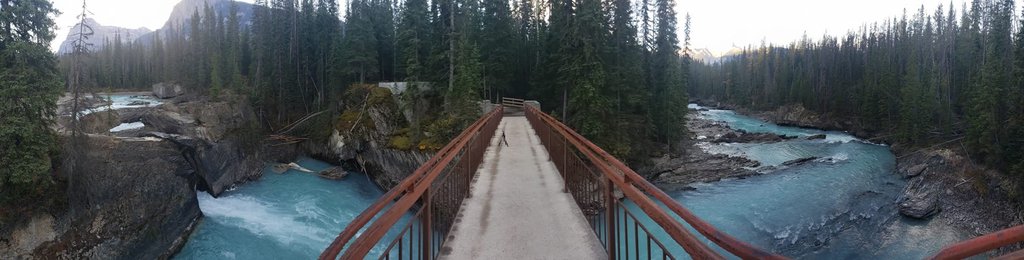 Мост над бурной рекой