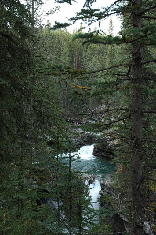 Таёжная река с водопадом в Скалистых горах Канады