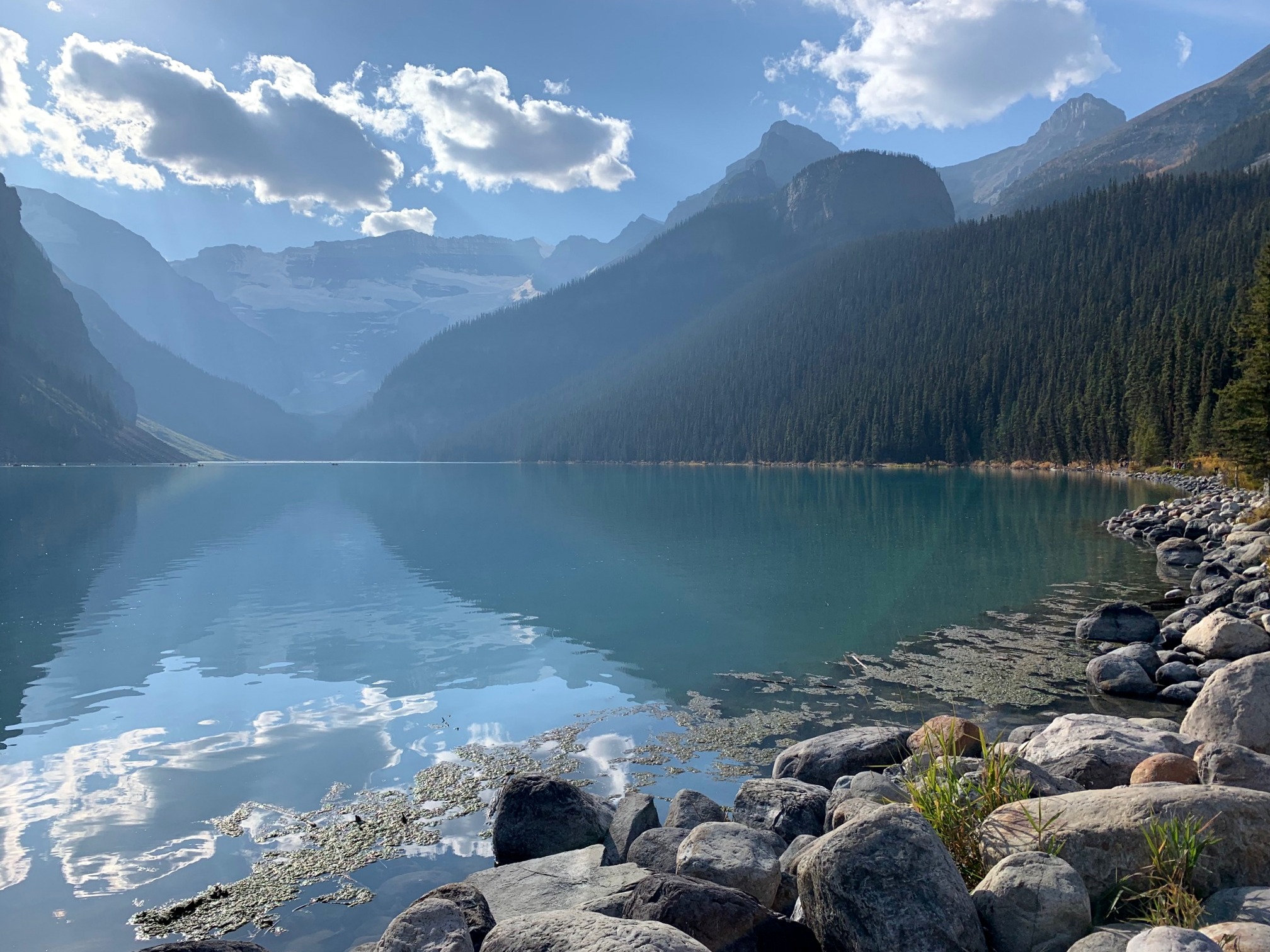 Фотография завода Swiss Lake