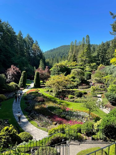 Бутчартовы сады на острове Ванкувер