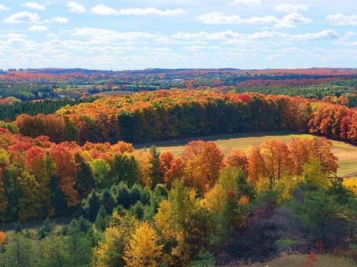 Осень в канадской провинции Альберта