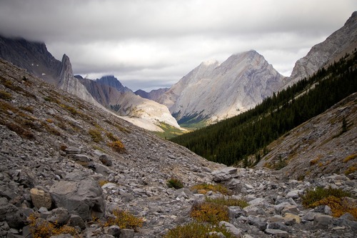 Глетчерная долина Рэй в Скалистых горах Канады