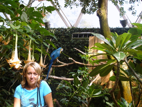 В оранжерее Bloedel