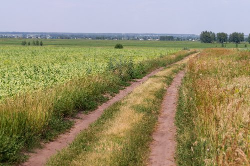 По полям