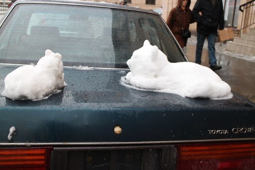 снежные кошки на машине