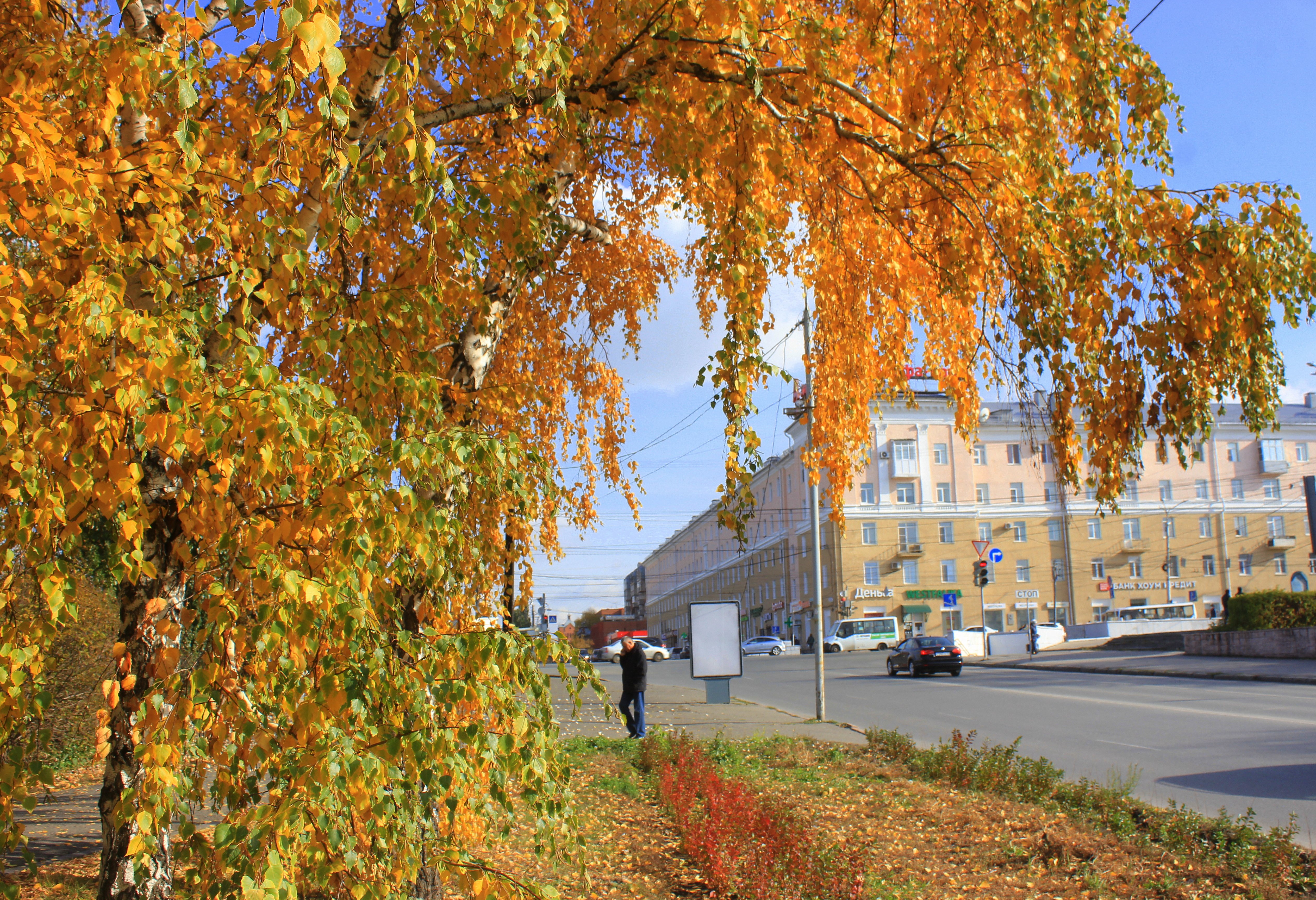 отель золотая осень