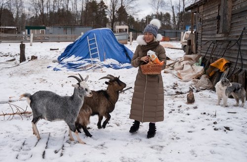 ПОПРОШАЙКИ