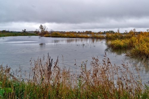 Осень.Дождь