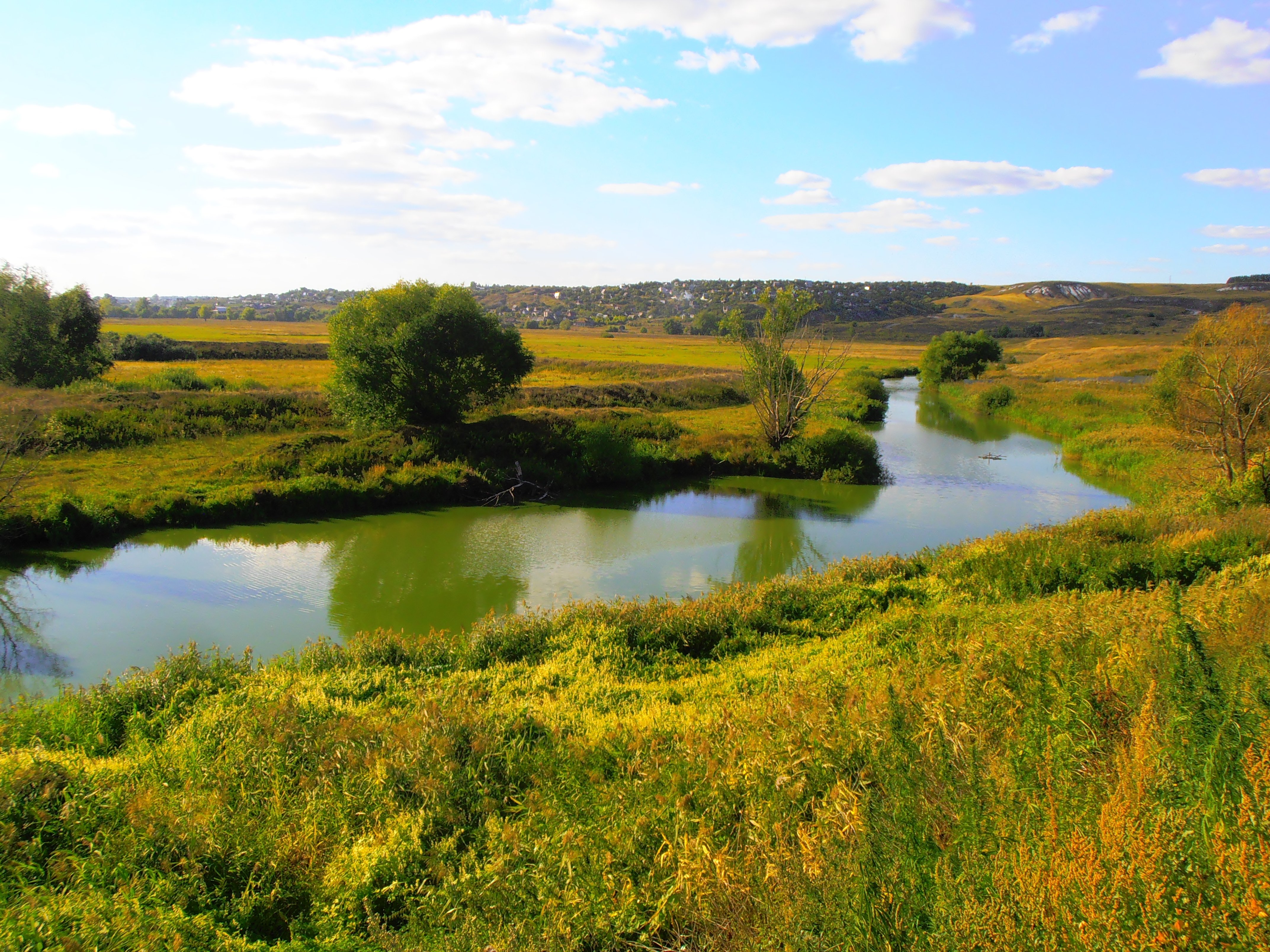 Поля новгородская область. Река пола Новгородская область. Пола (река). Река пола Новгородская область фото. Речка в поле Кулотино.