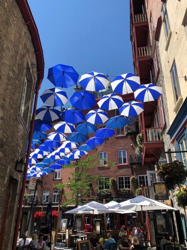 Под сине-белыми зонтами