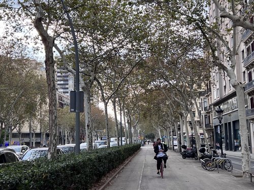 Вело-пешеходная дорожка в Барселоне