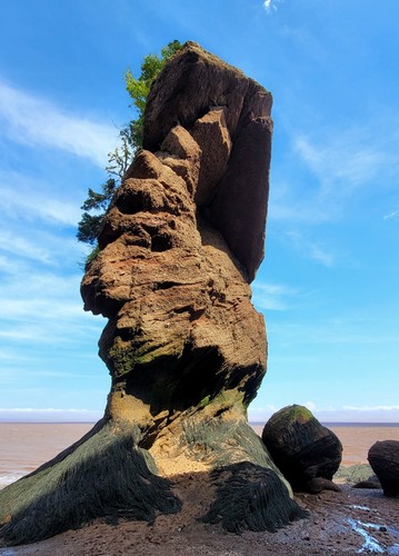 Природная скульптура на берегу залива Фанди