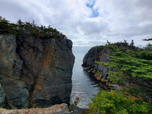 Скалистые еловые берега Ньюфаундленда