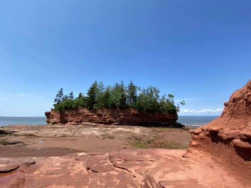 И ножки боятся замочить...