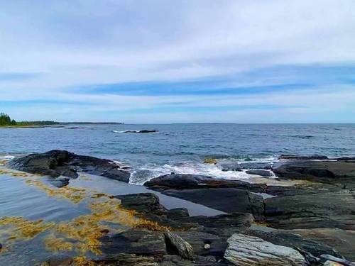 Каменные берега