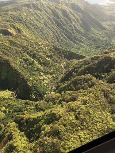 Зелёная начинка острова Мауи