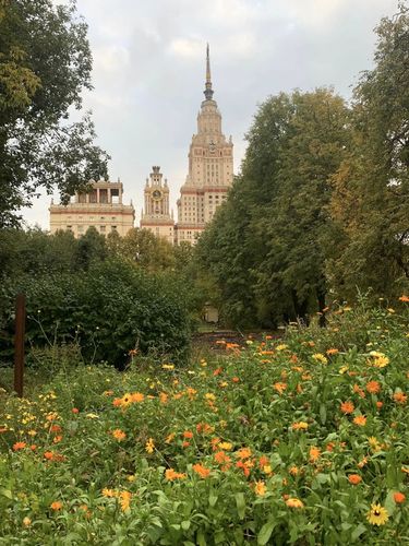 В ботаническом саду МГУ осень