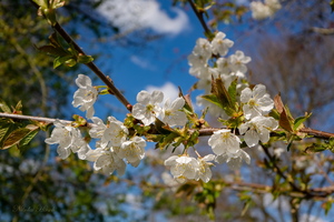 Радость жизни...